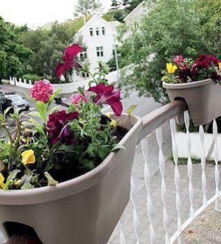 Guest house 27 Soley &